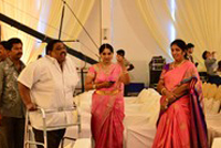 Celebs at Allari Naresh Wedding Photos